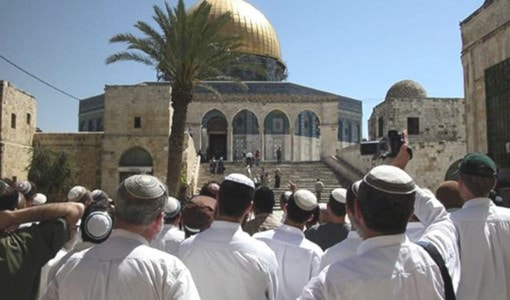 شرطة الاحتلال تهدف لحماية المتطرفين أثناء دخولهم إلى المسجد شرطة الاحتلال تهدف لحماية المتطرفين أثناء دخولهم إلى المسجد