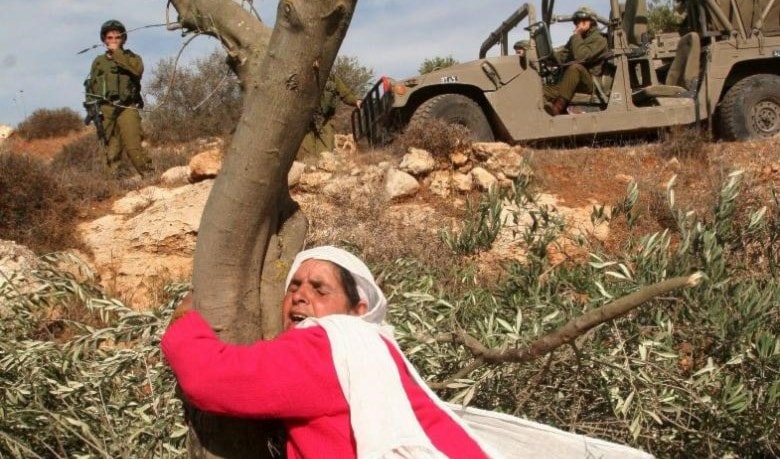 يوم الأرض يوم الأرض