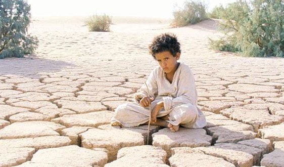 "ذيب" نال جواز عالمية وعربية "ذيب" نال جواز عالمية وعربية