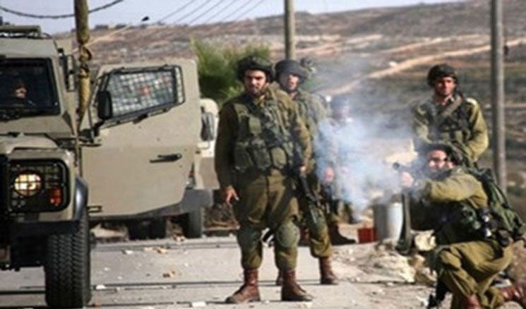 جنود الاحتلال يطلقون النار على الفلسطينيين قرب مدينة الخليل جنود الاحتلال يطلقون النار على الفلسطينيين قرب مدينة الخليل