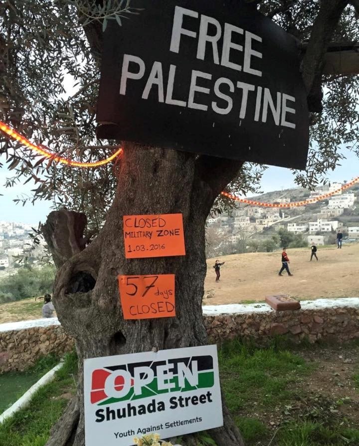 الفلسطينيون يعانون من اعتداءات الاحتلال يومياً الفلسطينيون يعانون من اعتداءات الاحتلال يومياً