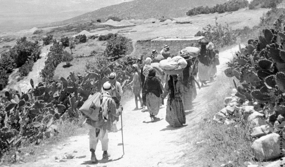 لم تتمكّن القومية العربية من أن تحصّل للمسلمين ما ضاع منهم. فلسطين. لم تتمكّن القومية العربية من أن تحصّل للمسلمين ما ضاع منهم. فلسطين.