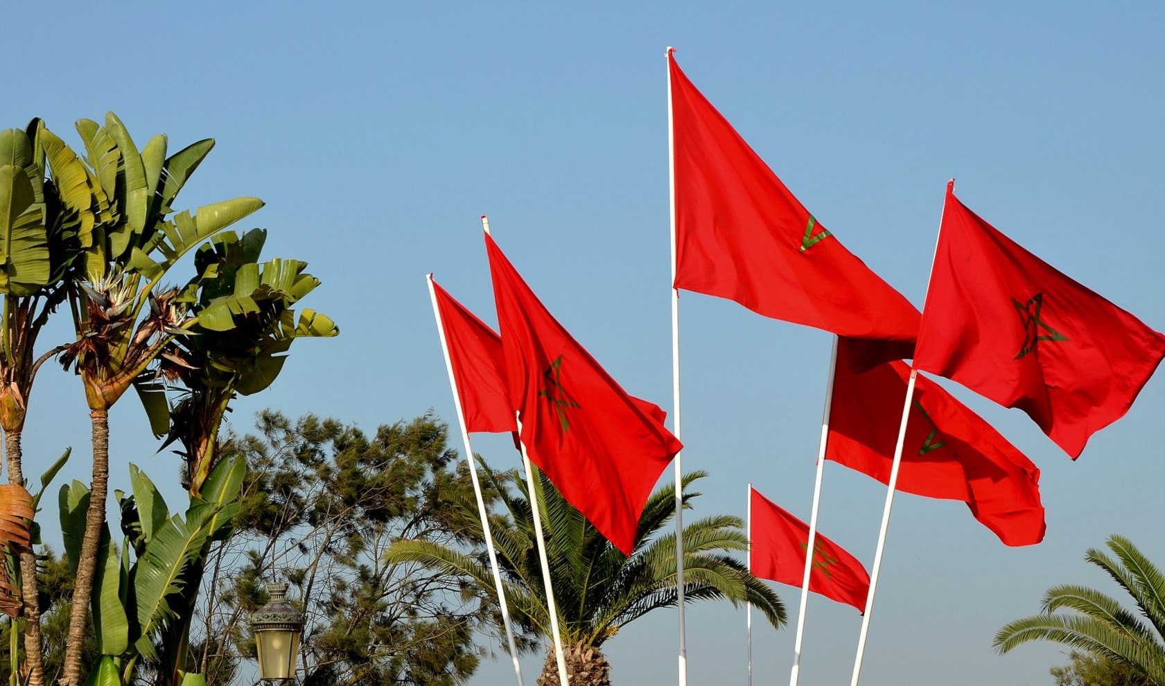 الإغراق في تبادل الحجج التاريخية حول مغربيّة الصحراء أو لا مغربيّتها يُضيِّع مستقبل الشعوب المغاربية بأسرها. الإغراق في تبادل الحجج التاريخية حول مغربيّة الصحراء أو لا مغربيّتها يُضيِّع مستقبل الشعوب المغاربية بأسرها.
