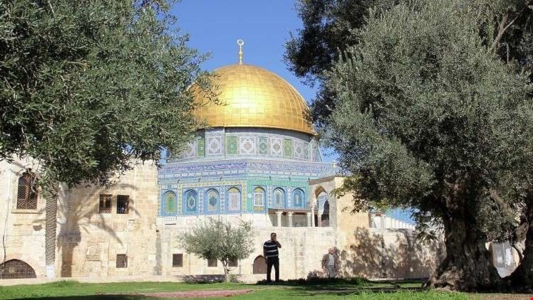 تحذيرات فلسطينية من خطورة إقدام واشنطن على نقل سفارتها إلى القدس تحذيرات فلسطينية من خطورة إقدام واشنطن على نقل سفارتها إلى القدس