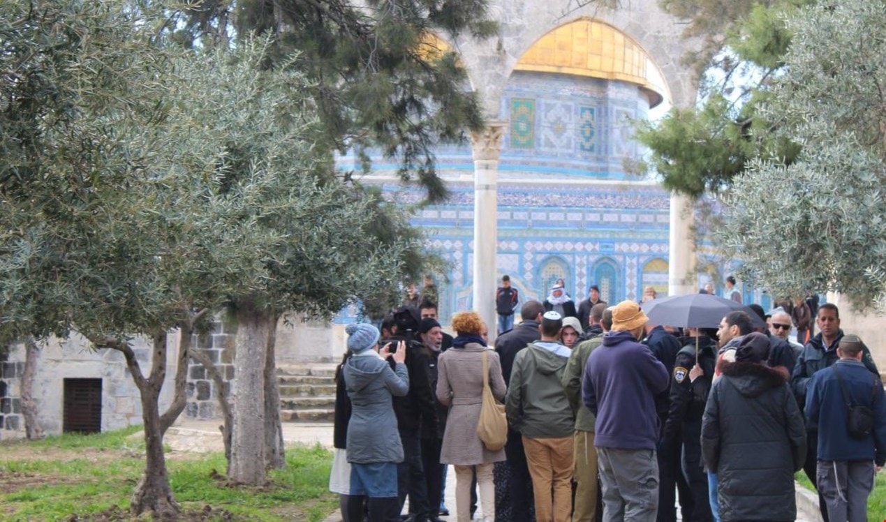 جرح فلسطيني في نابلس واعتقال حراس للمسجد الأقصى جرح فلسطيني في نابلس واعتقال حراس للمسجد الأقصى