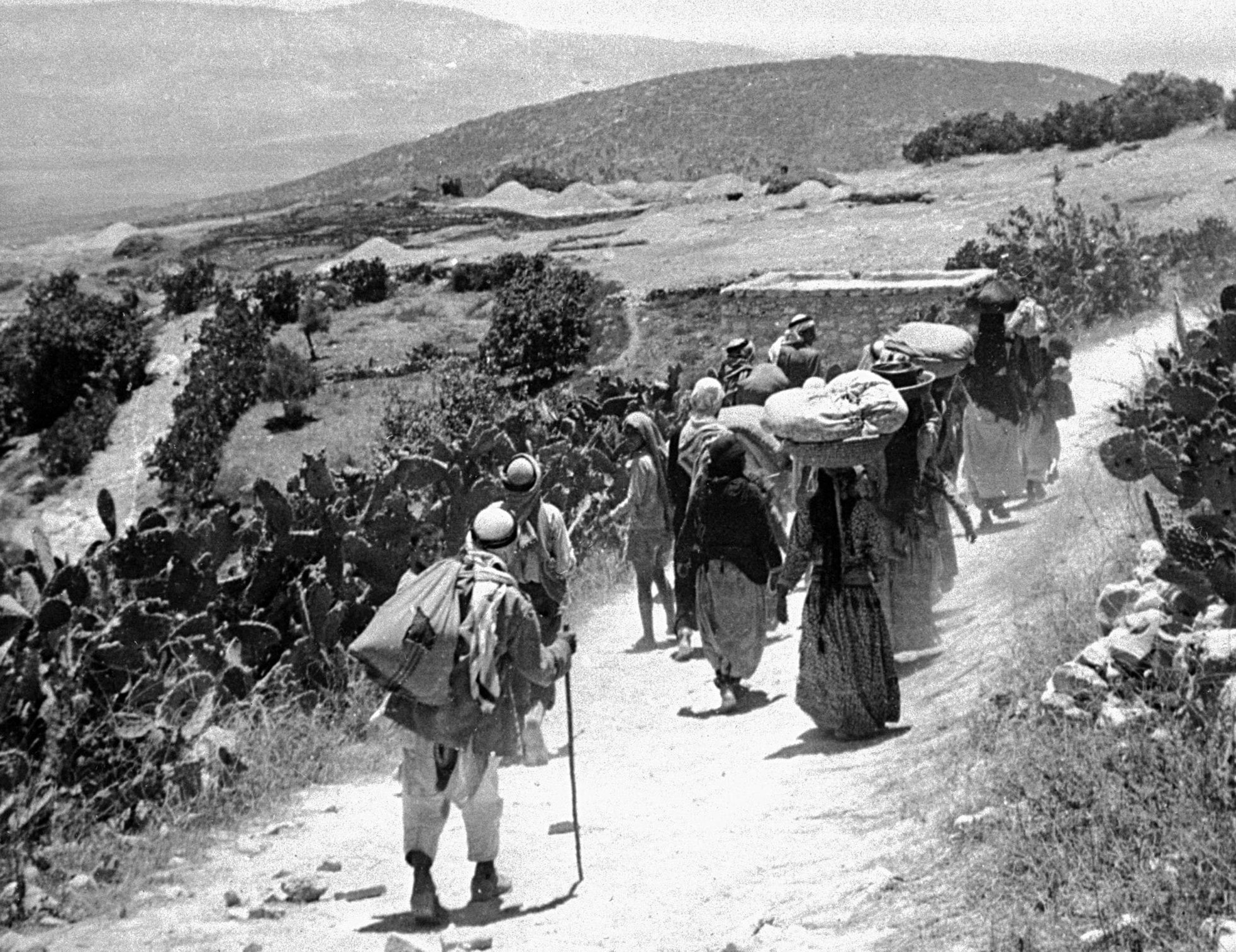 فرار الفلسطينيين من المجازر الإسرائيلية عام 1948 فرار الفلسطينيين من المجازر الإسرائيلية عام 1948