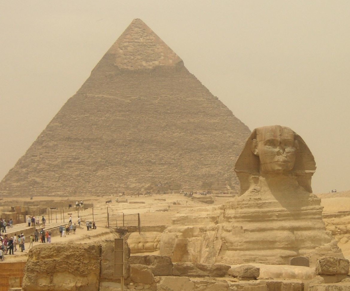 قبل أن يصل السوس إلى براعمكم..عودوا إلى مصر قبل أن يصل السوس إلى براعمكم..عودوا إلى مصر