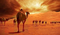 أصل الحكاية.. هذا ما حصل بين السعودية وقطر أصل الحكاية.. هذا ما حصل بين السعودية وقطر