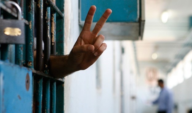 أزعجت نبتة بطيخ زرعها الأسرى الفلسطينيون قائد السجن الصهيوني أزعجت نبتة بطيخ زرعها الأسرى الفلسطينيون قائد السجن الصهيوني