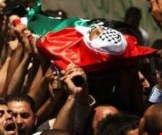 كان على أم هاشم أن تنتظر وتصبر حتى ترى ابنها الذي لم يظهر لها بعد كان على أم هاشم أن تنتظر وتصبر حتى ترى ابنها الذي لم يظهر لها بعد