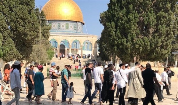 وزير الزراعة الإسرائيلي وعشرات المستوطنين يقتحمون الأقصى وزير الزراعة الإسرائيلي وعشرات المستوطنين يقتحمون الأقصى