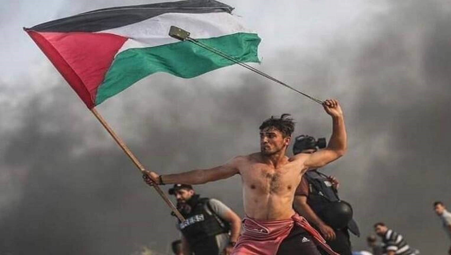 "الغارديان" تختار أجمل صورة لعام 2019 "الغارديان" تختار أجمل صورة لعام 2019