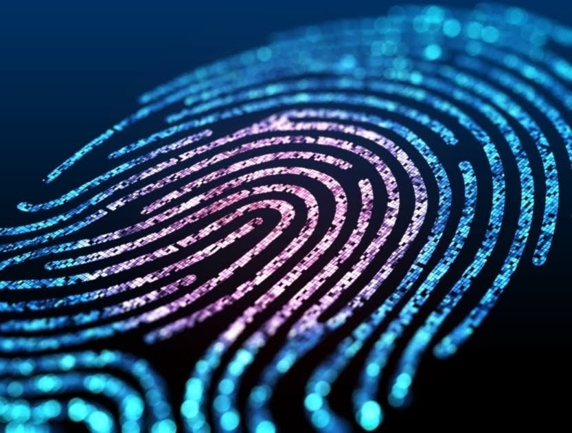 بصمة الإصبع تكشف المدمنين على المخدرات بصمة الإصبع تكشف المدمنين على المخدرات