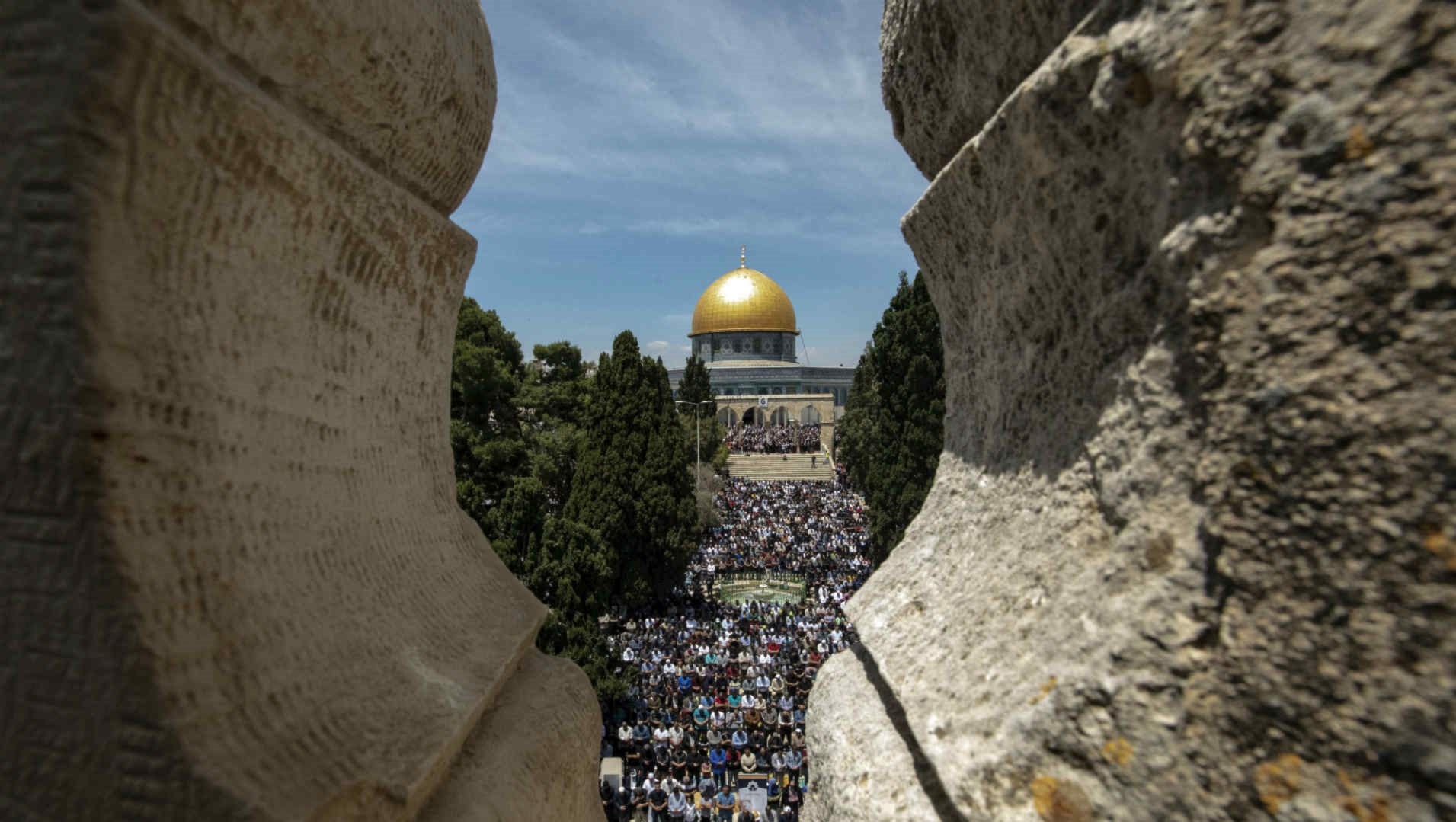 هل طعن العرب تركيا من الخلف؟ ومن باع فلسطين؟ هل طعن العرب تركيا من الخلف؟ ومن باع فلسطين؟