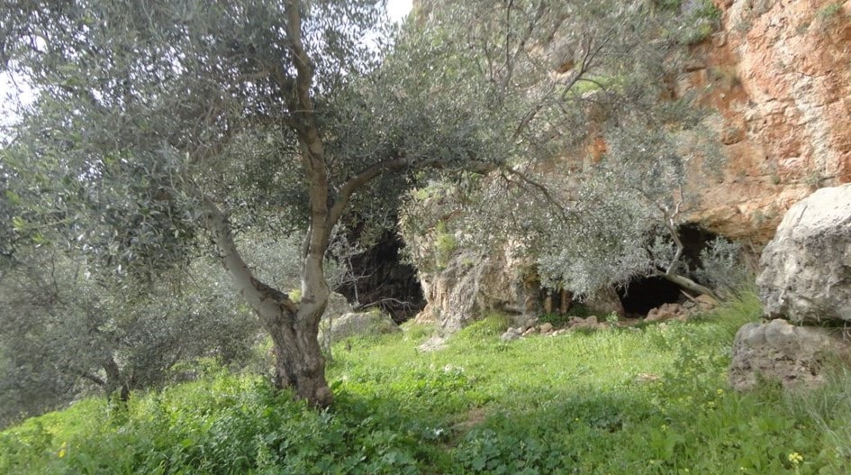 موقع المغارة في صخور دهرية موقع المغارة في صخور دهرية