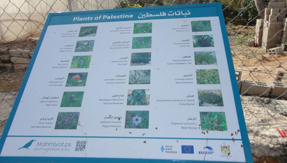 لوحة بنباتات فلسطين لوحة بنباتات فلسطين