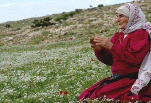 نحن العرب لدينا أمّان: الأمّة العربية من جهة، والأمّ العربية من جهة ثانية نحن العرب لدينا أمّان: الأمّة العربية من جهة، والأمّ العربية من جهة ثانية