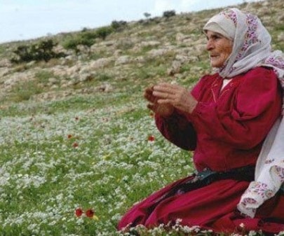 نحن العرب لدينا أمّان: الأمّة العربية من جهة، والأمّ العربية من جهة ثانية نحن العرب لدينا أمّان: الأمّة العربية من جهة، والأمّ العربية من جهة ثانية