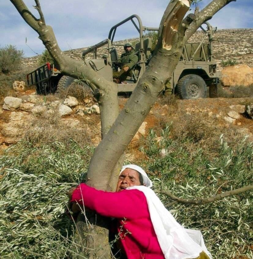 فعاليات يوم الأرض تعم مختلف مناطق فلسطين المحتلة فعاليات يوم الأرض تعم مختلف مناطق فلسطين المحتلة