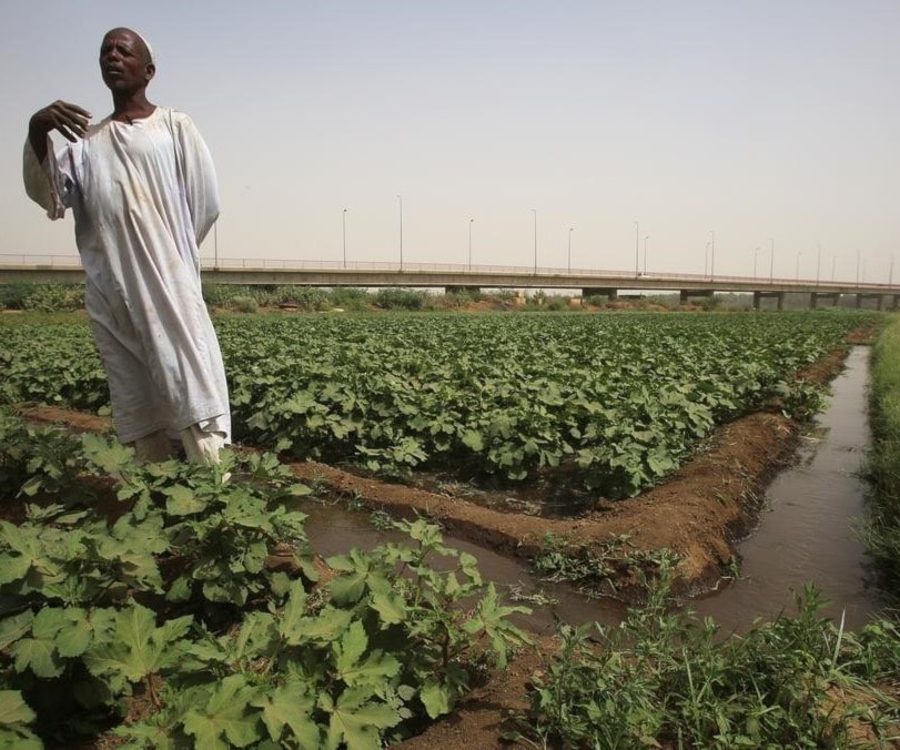 الاستثمارات الأجنبية التي سلبت أرض السودانيين وقوّتهم الاستثمارات الأجنبية التي سلبت أرض السودانيين وقوّتهم