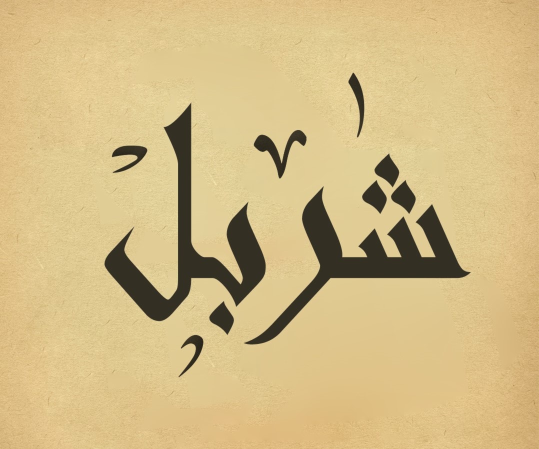 شربل شربل