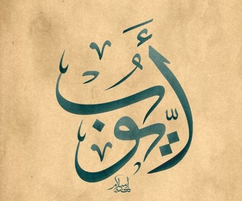 أيُّوب أيُّوب