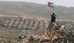 مستوطنة يهودية في فلسطين مستوطنة يهودية في فلسطين