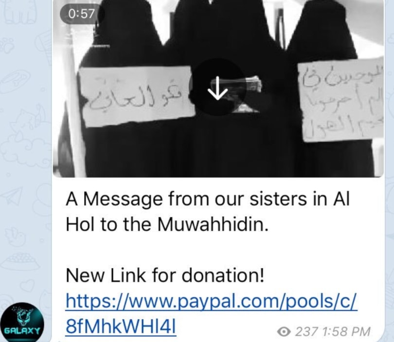 منشور يدعو إلى التبرع لنساء داعش في مخيّم الهول عبر Paypal منشور يدعو إلى التبرع لنساء داعش في مخيّم الهول عبر Paypal
