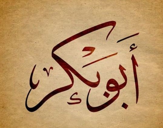 أبو بكر - بكر أبو بكر - بكر