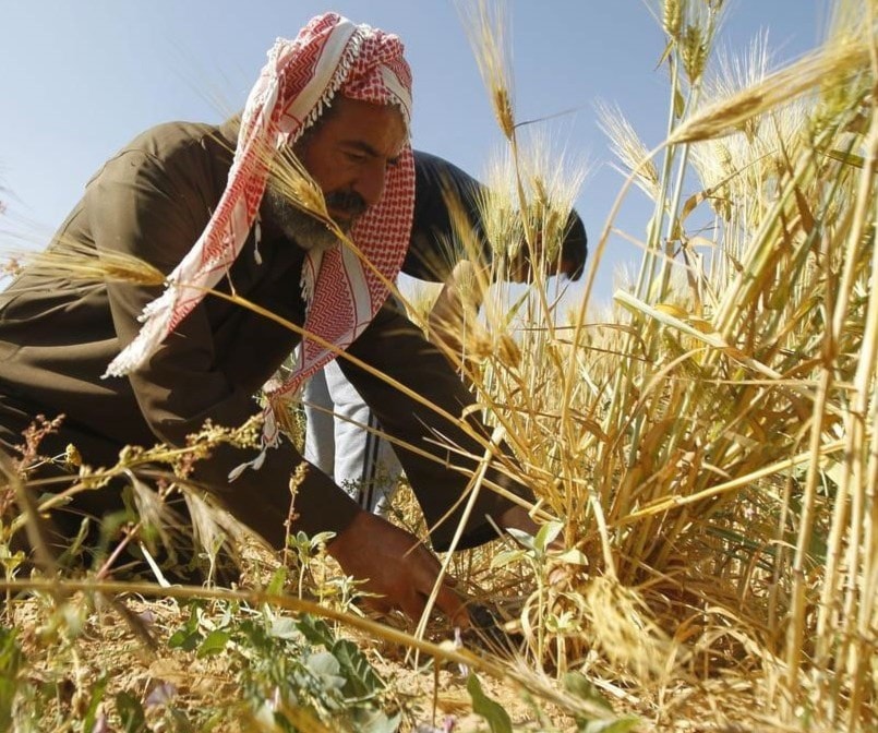 عجزت دول كثيرة عن تطوير أنماط تنمية محليّة لأسباب بنيوية متعدّدة عجزت دول كثيرة عن تطوير أنماط تنمية محليّة لأسباب بنيوية متعدّدة