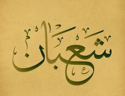 شعبان - شعيب شعبان - شعيب