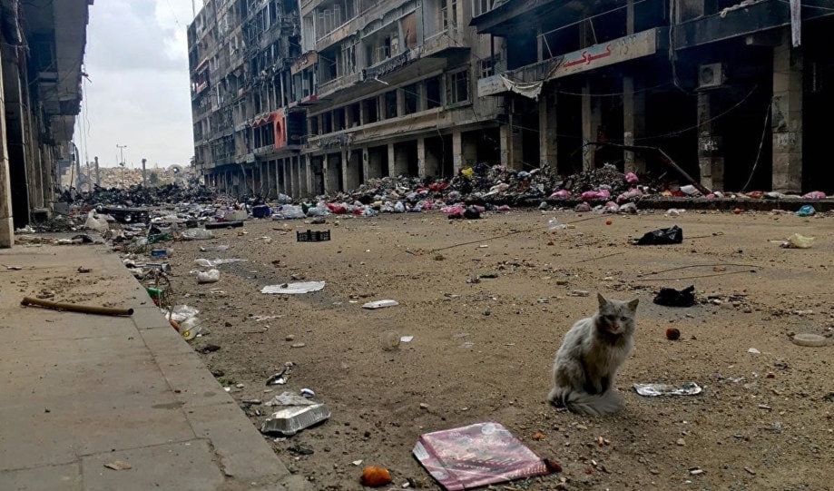 القوات الروسية بسوريا تستحوذ على المواد السامة التي حاول المسلحون استخدامها