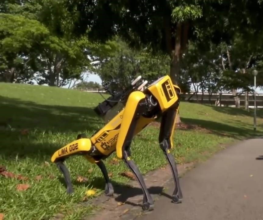 تحاول سنغافورة العمل على جعل الروبوت Spot "ذكياً" تحاول سنغافورة العمل على جعل الروبوت Spot "ذكياً"