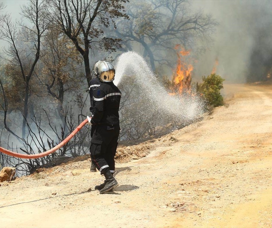تمّ تسجيل 723 حريقاً منذ بداية شهر أيار/ مايو الجاري وحتى 20 منه تمّ تسجيل 723 حريقاً منذ بداية شهر أيار/ مايو الجاري وحتى 20 منه