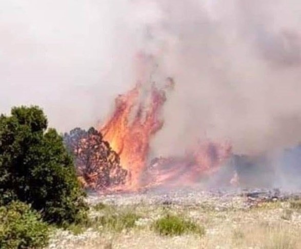 لبنان: حريق كبير يلتهم مساحات حرجية في جرود الهرمل لبنان: حريق كبير يلتهم مساحات حرجية في جرود الهرمل