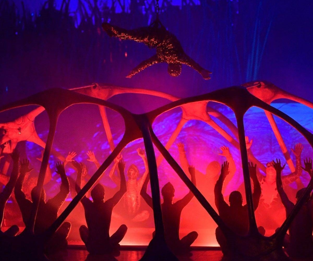 "Cirque du Soleil".. وداعاً "Cirque du Soleil".. وداعاً