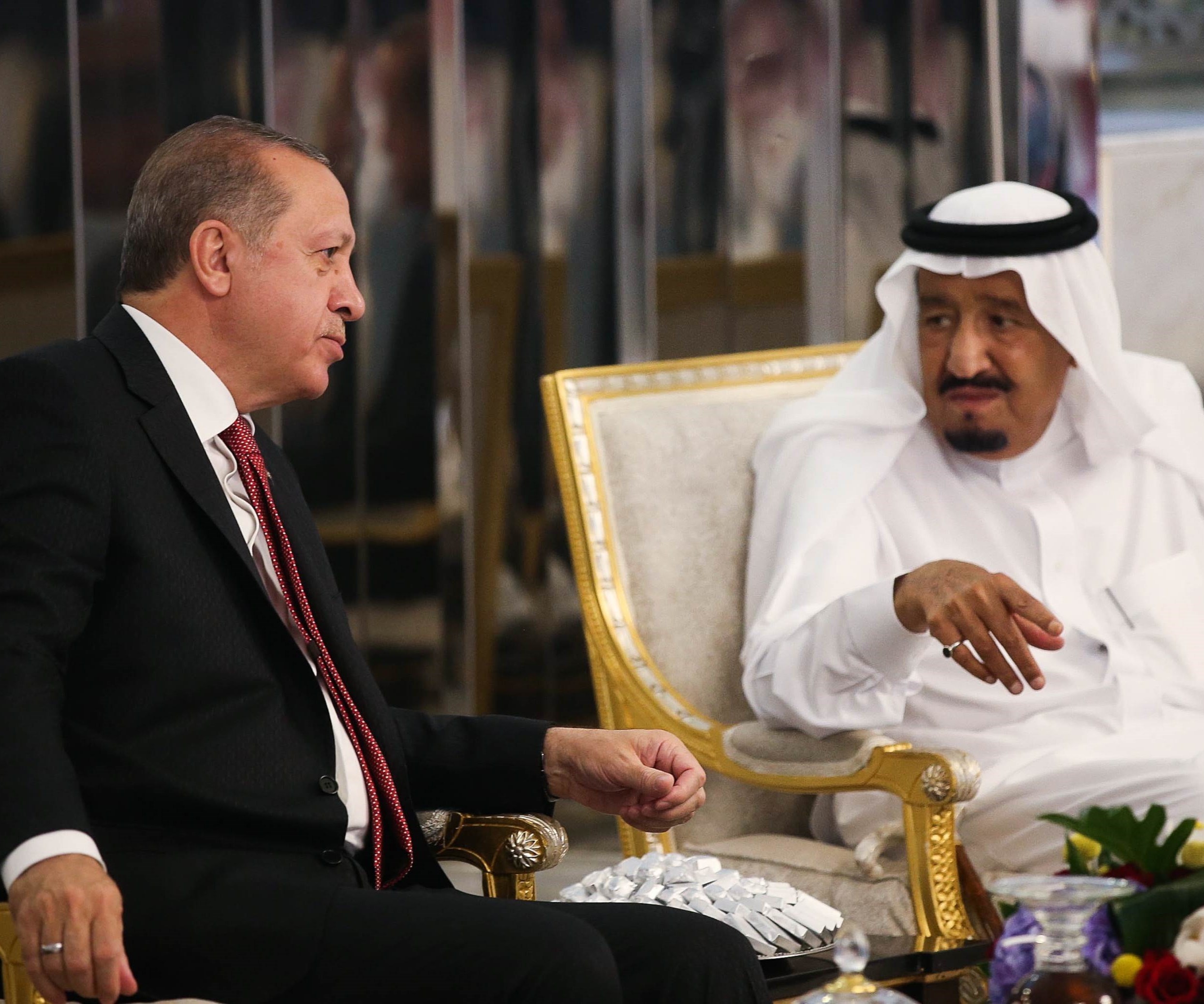 الرئيس التركي خلال لقائه الملك سلمان بن عبد العزيز الرئيس التركي خلال لقائه الملك سلمان بن عبد العزيز