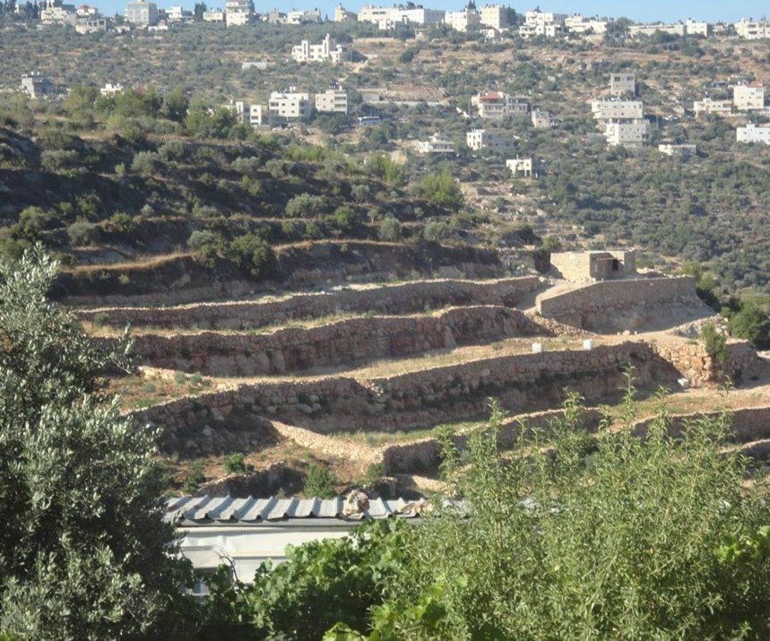 اهتمام فلسطيني بالأرض اهتمام فلسطيني بالأرض