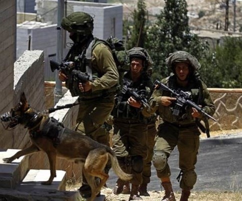 الاحتلال يهدم منازل المقدسيين على مرأى من سكانها والفلسطينيون يتصدون لاعتداءاته الاحتلال يهدم منازل المقدسيين على مرأى من سكانها والفلسطينيون يتصدون لاعتداءاته