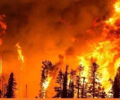 صورة من الحرائق التي نشبت في سوريا (وسائل التواصل الاجتماعي) صورة من الحرائق التي نشبت في سوريا (وسائل التواصل الاجتماعي)