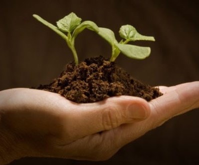 التنمية وذخائر القيم النشطة التنمية وذخائر القيم النشطة