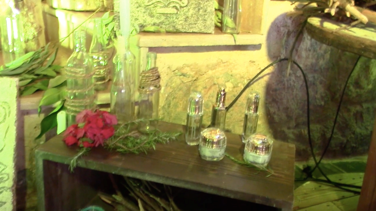 عطور شجرة الحياة