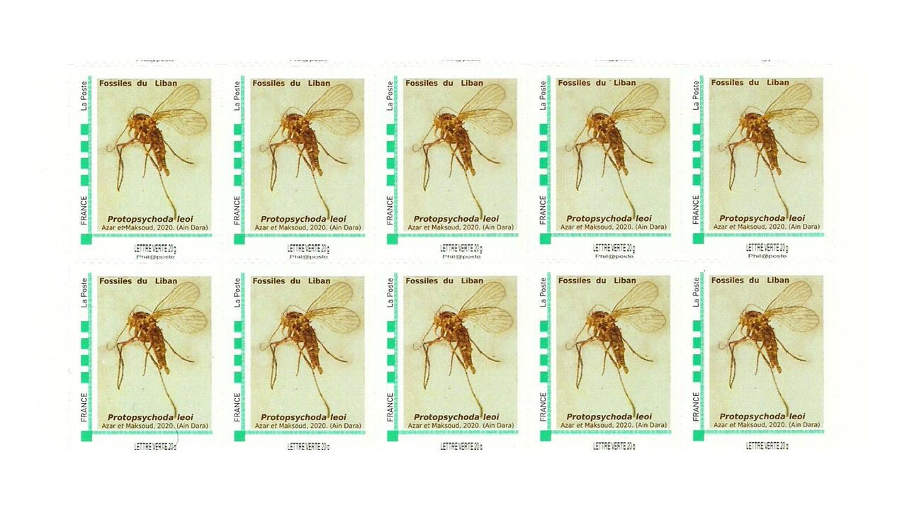 العنبر اللبناني: أرشيف الحياة في 150 مليون سنة