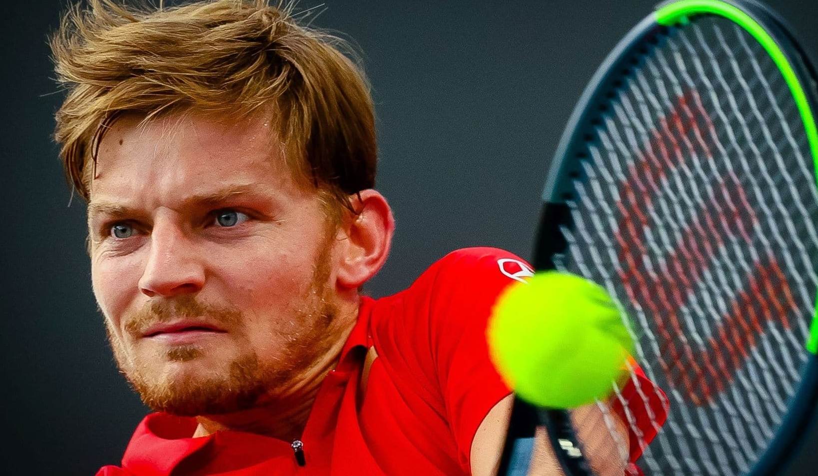 ديفيد غوفين