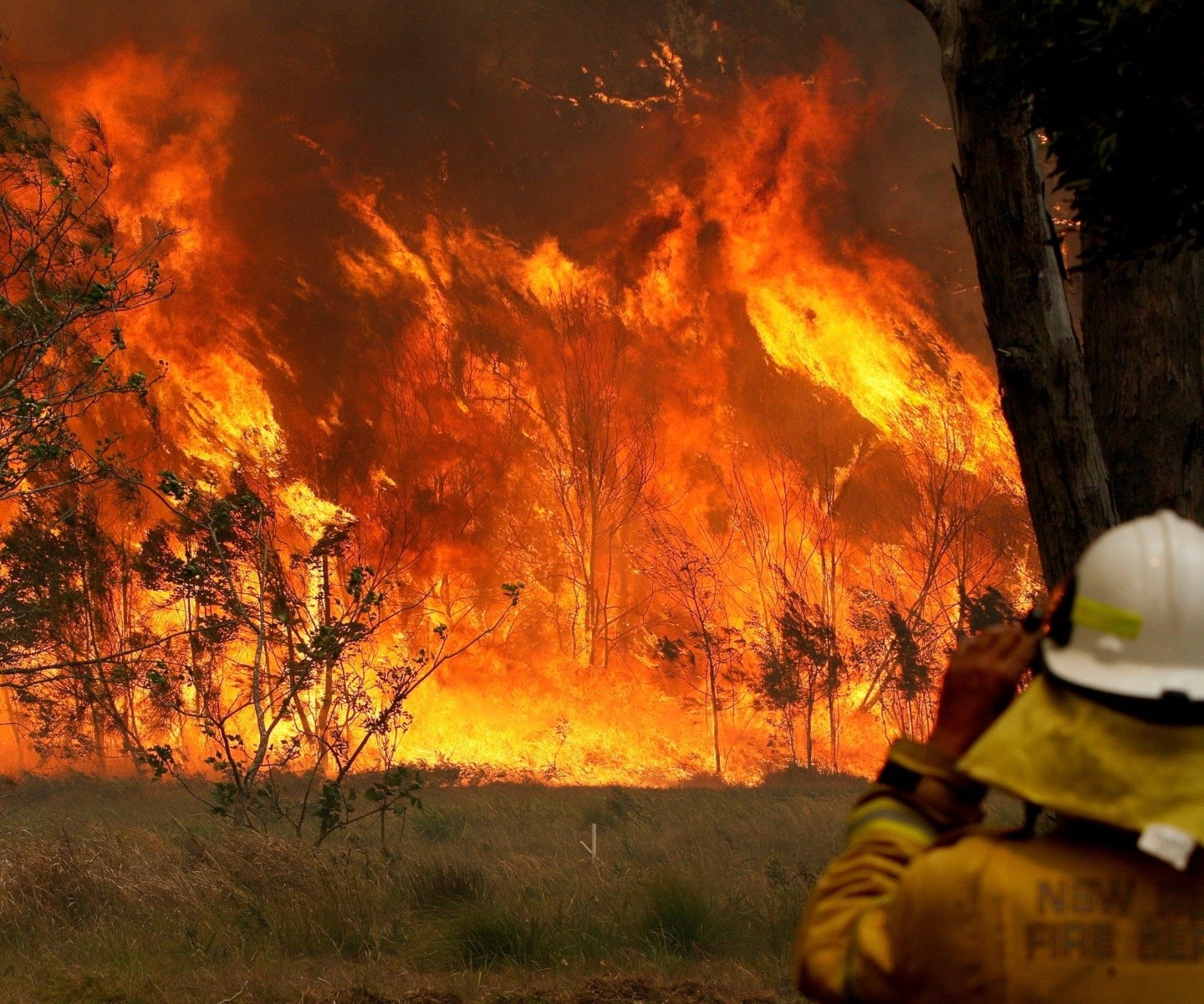 من الحرائق التي طالت سوريا قبل شهرين.
