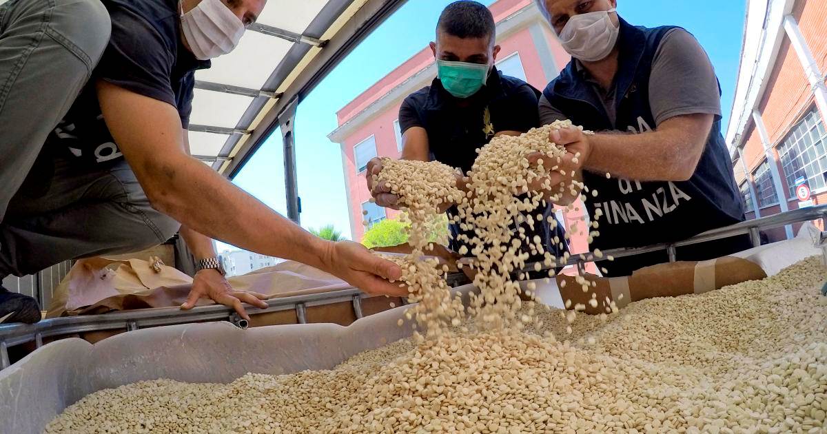 إيطاليا تصادر اكبر  شحنة مخدرات 