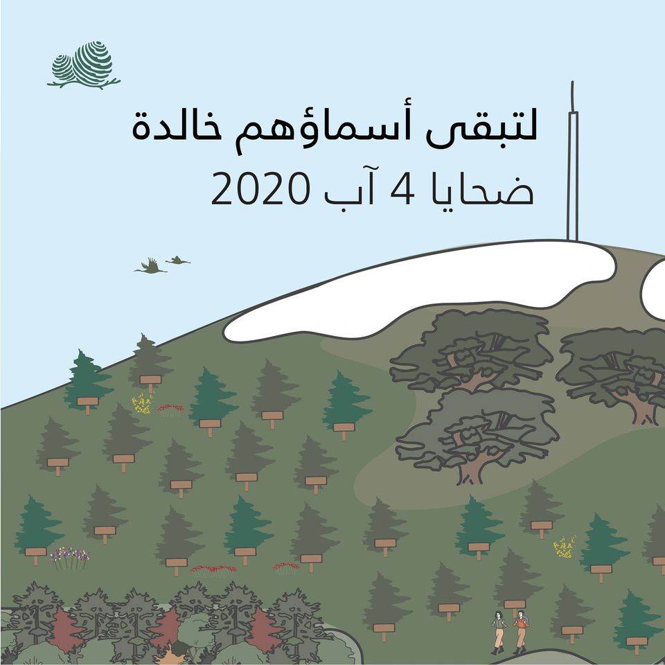 تكريما لهم ز ر ع غابة أرز تحمل أسماء ضحايا انفجار مرفأ بيروت الميادين