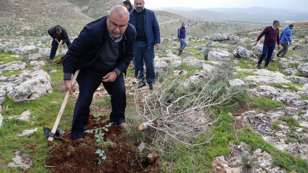 فلسطينيون يعيدون زرع أشجار اقتلعتها اسرائيل في الضفة الغربية المحتلة