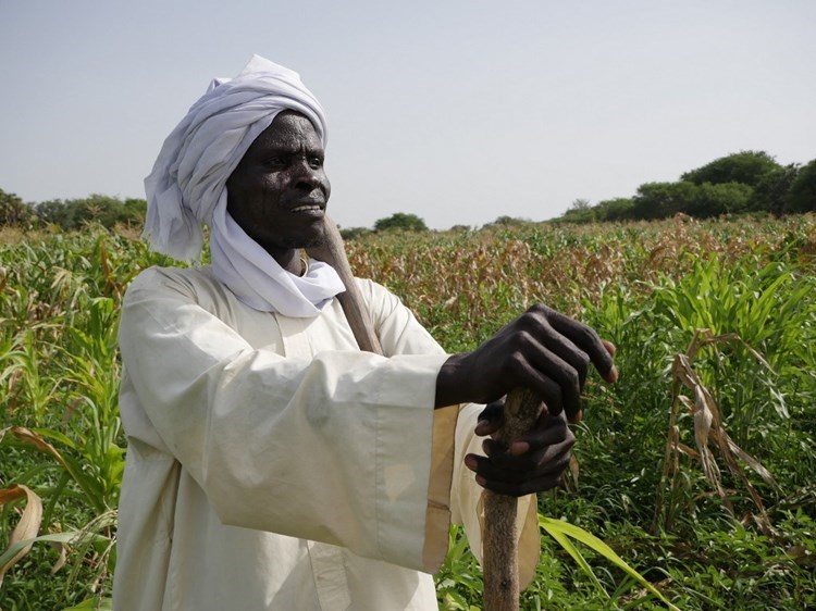 A farmer stands on Medikota Island on Lake Chad on July 22, 2017 (AFP).