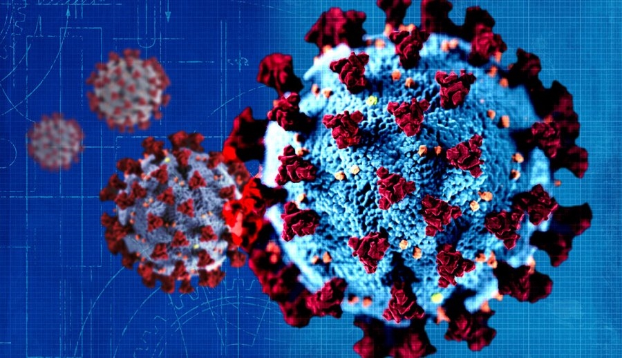 Delta variant has more syncytia than SARS-CoV-2